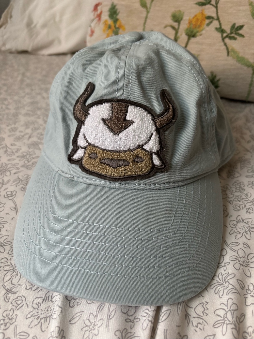 Avatar the Last Airbender Hat